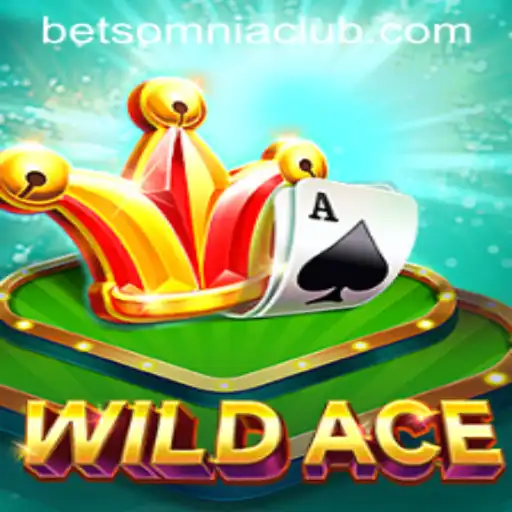 Exploring WildAce: Dive into the Thrilling World of Betsomnia